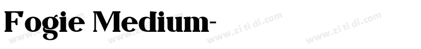 Fogie Medium字体转换
